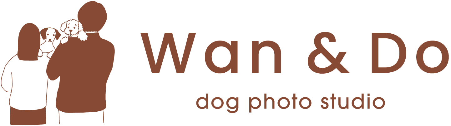 Wan & Do｜犬と家族のフォトスタジオ
