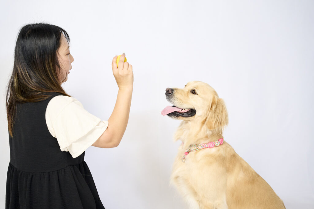 笑顔がいっぱい!ご家族の温かな時間