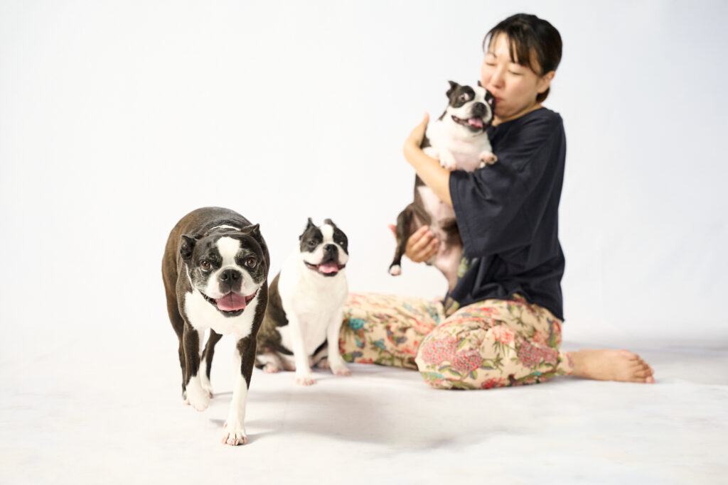 それぞれの個性がキラリのボストンテリア