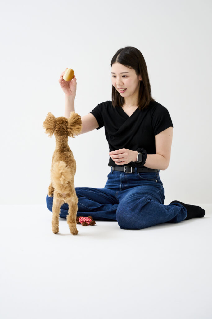 笑顔が弾ける仲良しトイプードル